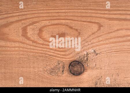 Baumknoten auf dem Holzbrett. Rustikales Holz, natürliches Muster. Hartholzoberfläche, raues Holzblech Stockfoto