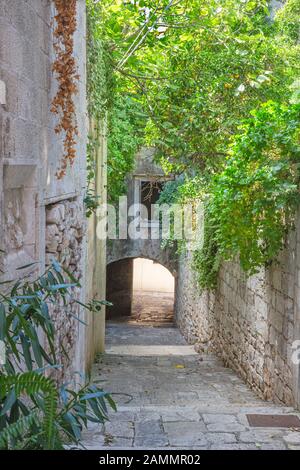 Korcula - Die eine ailse der Altstadt. Stockfoto