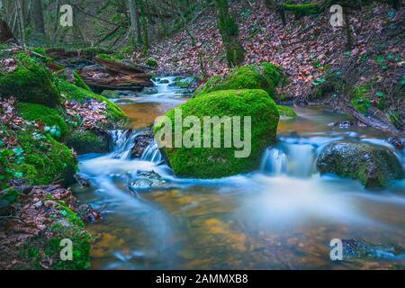 Grüne Landschaft mit kleinem Fluss in den Wäldern Stockfoto