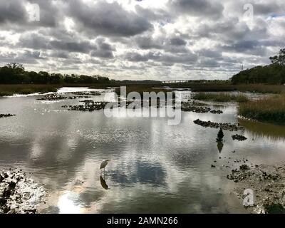 Gezeitenmarschen. St. Augustine, Florida. Stockfoto