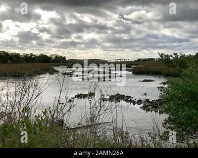 Gezeitenmarschen. St. Augustine, Florida. Stockfoto