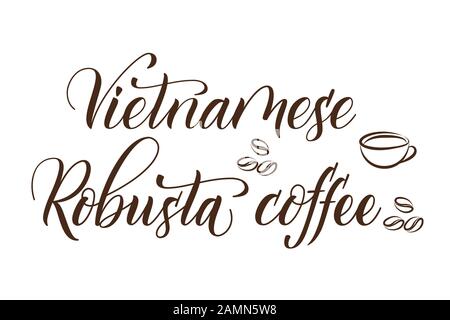 Vietnamesische Robusta Kaffee isoliert auf weiß Stock Vektor