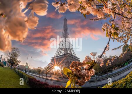 Eiffelturm im Frühling in Paris, Frankreich Stockfoto