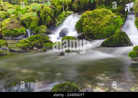 Waldbrook Bergbach zwischen moosigen Felsen Stockfoto