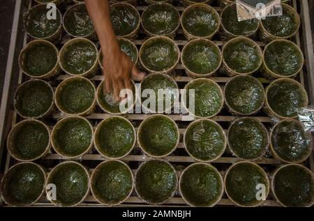 (200114) - BANDUNG, 14. Januar 2020 (Xinhua) - ein Arbeiter bereitet "dodol" vor, eine Art traditioneller Snack, der während der chinesischen Neujahrsfeiern in Bandung, Indonesien, am 14. Januar 2020 serviert wird. Chinesische Gemeinden in Indonesien bereiten sich ab dem 25. Januar dieses Jahres auf das bevorstehende chinesische Lunarjahr von Rat vor. (Foto von Septianjar/Xinhua) Stockfoto