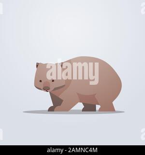 Wombat Icon niedlich Cartoon wild Animal Symbol mit Schatten Tier Spezies Tier Tierwelt Konzept flache Vektordarstellung Stock Vektor