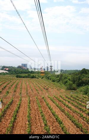 Luftseilbahn über grüne Gärten. Seilbahnkabine über dem Feld. Stockfoto