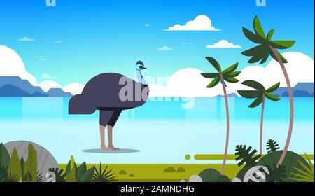 Strauß oder emu an der Küste Tierwelt Tierfauna Konzept australische wilde Tier tropische Insel mit Palmen seekape Hintergrund horizontale Vektor-Illustration Stock Vektor