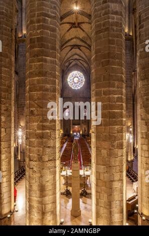 Barcelona, Spanien - 29. Dezember 2019: Die Gotische Basilika Santa Maria del Mar, Barcelona, Spanien. Drinnen Stockfoto