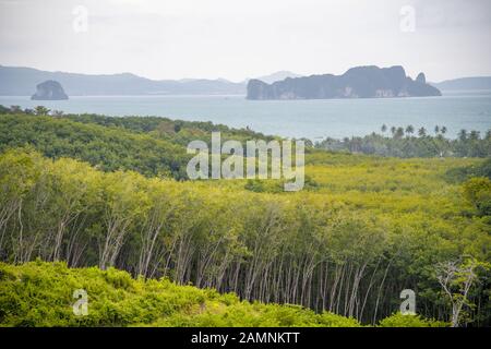 Panoramaaussicht auf die Insel vom Reise-Paddy-Aussichtspunkt in Phuket, Thailand Stockfoto