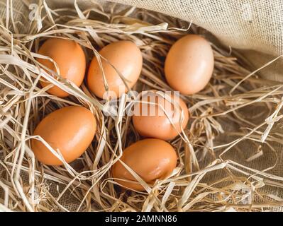 Eier in Sack und Strohhalm, Osterkonzept Stockfoto