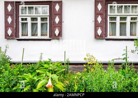 Rustikales Haus Haus Haus Bauernhaus dacha in Osteuropa mit traditionellen Fensterläden und Blumen im Garten Stockfoto