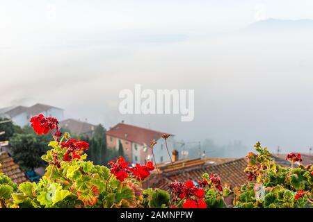 Chiusi Scalo Nebel Nebel Sonnenaufgang auf Gebäuden in der Toskana, Italien mit Wolken bedeckt blankendes Stadtbild und Fokus auf roten Geranienblüten in der Stirn Stockfoto