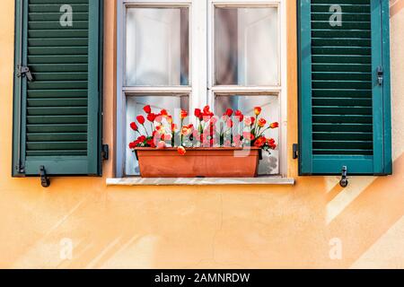 Fensterläden und rote orangefarbene Korbkastendekorationen an sonniger Sommertagesarchitektur in Perugia, Italien Stockfoto