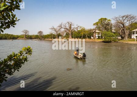 Gambia Mangroves. Traditionelle Langboote. Grüne Mangrovenbäume in Wald. Gambia. Stockfoto
