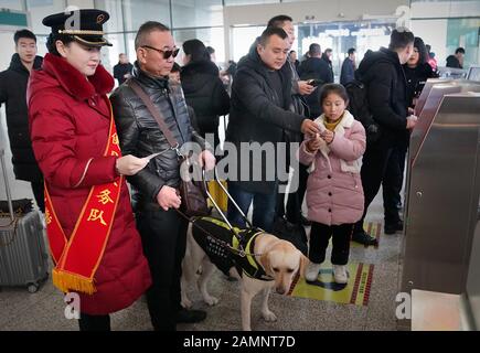 (200114) -- ZHENGZHOU, 14. Januar 2020 (Xinhua) -- EIN Mitarbeiter der Eisenbahn hilft einem sehbehinderten Passagier und seinem Blindenhund Xiaoqi, einen Zug am Bahnhof Zhengzhoudong in Zhengzhou, der zentralchinesischen Provinz Henan, am 14. Januar 2020 zu nehmen. Der sehbehinderte Passagier namens Jin würde am Dienstag im Bahnhof Zhengzhoudong mit seinem Führerhund Xiaoqi einen Einschusszug nehmen. Er telefoniert mit dem Bahnhof um Hilfe. Die Mitarbeiter des Bahnhofs erarbeiteten sofort einen Plan, um sicherzustellen, dass der Fahrgast und sein Blindenhund eine bequeme und sichere Fahrt ohne Hindernisse haben. ( Stockfoto