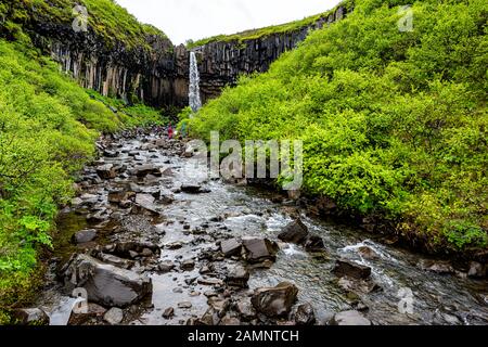 Svartifoss Wasserfall weiter, niedriger Blickwinkel mit Basaltsäulen in Skaftafell, Island und Wasser fallender Klippe im Fluss und grüner, üppiger Sommerlandschaft a Stockfoto