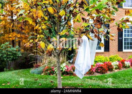 Wohnhaus im Herbst mit Feigenbaum und Außenbereich des Gebäudes und hängenden Geisterdekorationen für Halloween in Virginia Stockfoto