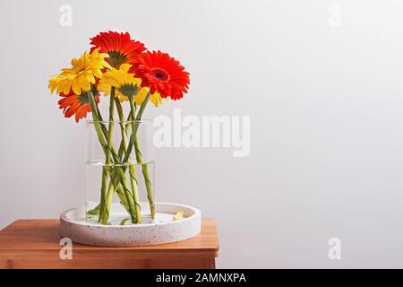 Bunter Haufen Gerbera Blumen in einer Glasvase stehen in der Nähe der weißen Wand. Minimalistische Komposition Stockfoto