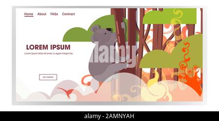 Koala sitzt auf Baumwaldbränden in australien Tiere sterben im Wildfire Buschfeuer Naturkatastrophen Konzept intensiv Orange Flammen horizontal Kopie Raum Vektor Illustration Stock Vektor