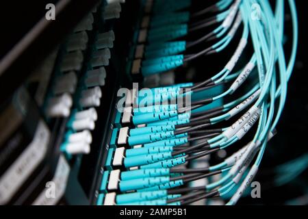 Nahaufnahme von router Kabel in einem Rechenzentrum. Stockfoto