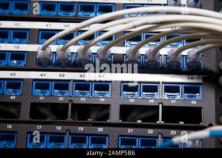 Nahaufnahme von router Kabel in einem Rechenzentrum. Stockfoto