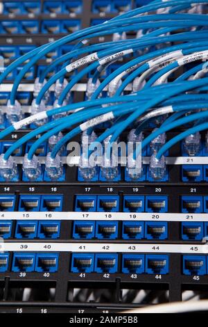 Nahaufnahme von router Kabel in einem Rechenzentrum. Stockfoto