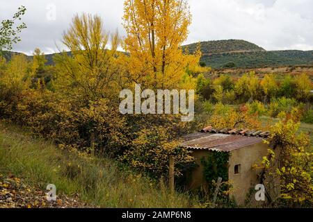 Guadalajaras Felder sind im Herbst farbig gefasst Stockfoto