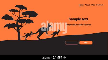 Silhouetten von Kängurus, die von Waldbränden in australien stammen Tiere, die im Wildfire Buschfeuer Naturkatastrophen Konzept horizontale Kopie Raumvektorillustration sterben Stock Vektor