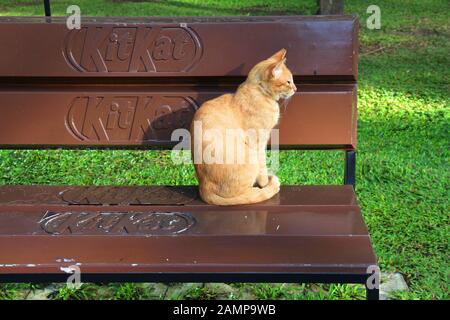 Manila, PHILIPPINEN - 28. NOVEMBER 2017: Katze sitzt auf einer Bank, die KitKat Schokoladenriegel in Makati City, Metro Manila, Philippinen, wirbt. Stockfoto