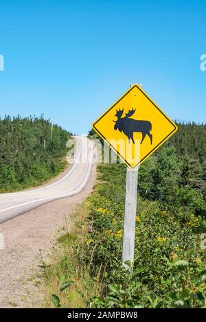 Straßenschild warnt vor der Kreuzung von Elchen, Cabot Trail, Cape Breton Highlands National Park, Nova Scotia, Kanada Stockfoto