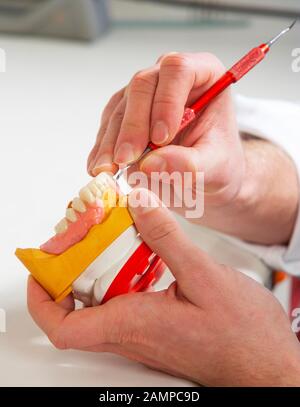 Zahntechniker, Zahntechnik, Modellierung an Unterkieferpartialhärenten mit Wachs, Deutschland Stockfoto