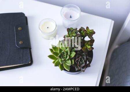 Winzige Sukkulenten, Kerzen und schwarzes Notizbuch am Nachttisch im Schlafzimmer im skandinavischen Stil zu Hause. Gartenarbeit im Haus, Konzept für den Pflanzenanbau Stockfoto