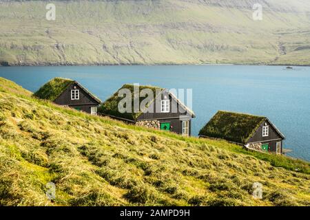 Malerische Aussicht auf tradicional Färöischen mit Gras bewachsenen Häuser im Dorf Bour im Herbst. Vagar Island, Färöer, Dänemark. Stockfoto