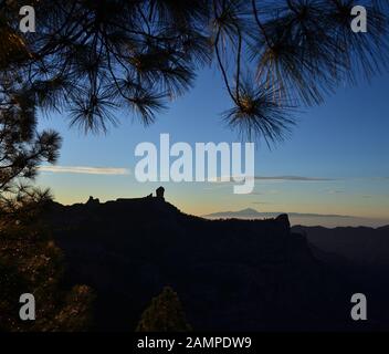 Berglandschaft unter den Kiefern bei Sonnenuntergang, Naturpark Roque Nublo, Gran Canaria, Kanarische Inseln Stockfoto