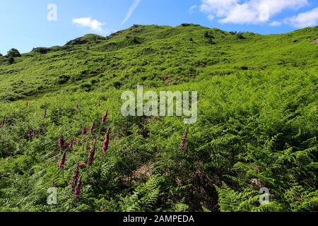 Summit Cairn of Arnison Crag, Ullswater, Lake District National Park, Cumbria, England, Großbritannien Stockfoto