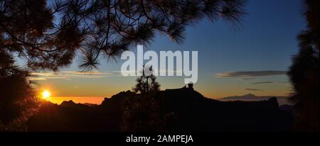 Panoramic Image unter den Kiefern bei Sonnenuntergang und Silhouette des Roque Nublo, Gipfeltreffen der Gran Canaria, Kanarische Inseln Stockfoto