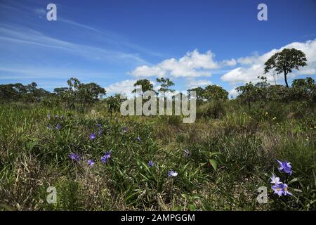 Windportal, Stones Hills in Sao Thome das Letras, Minas Gerais, Brasilien Stockfoto