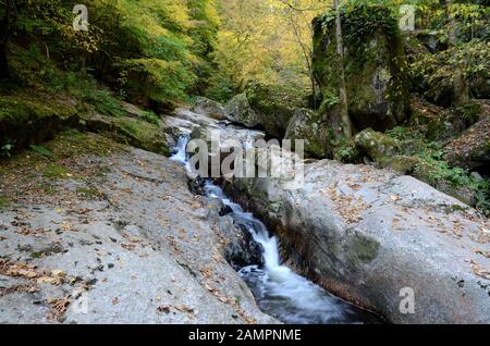 Pesenbachtal in Oberösterreich - der Pesenbach ist ein kleiner Fluss in der Region Mühlviertel, der in die Donau fließt. Stockfoto