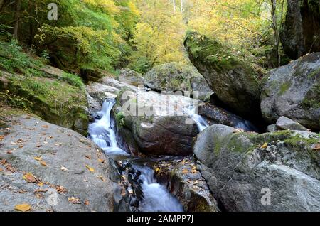 Pesenbachtal in Oberösterreich - der Pesenbach ist ein kleiner Fluss in der Region Mühlviertel, der in die Donau fließt. Stockfoto