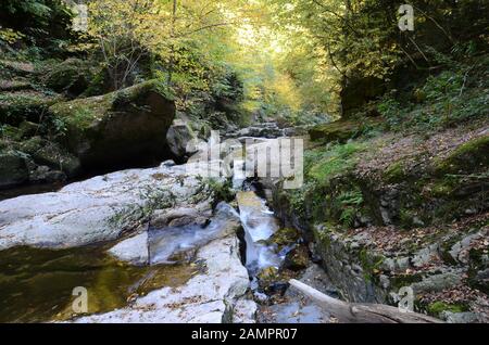 Pesenbachtal in Oberösterreich - der Pesenbach ist ein kleiner Fluss in der Region Mühlviertel, der in die Donau fließt. Stockfoto