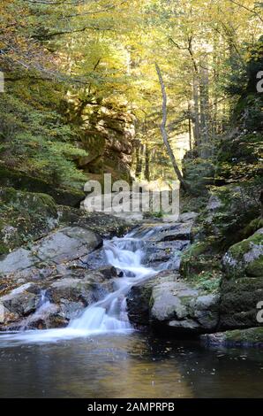 Pesenbachtal in Oberösterreich - der Pesenbach ist ein kleiner Fluss in der Region Mühlviertel, der in die Donau fließt. Stockfoto