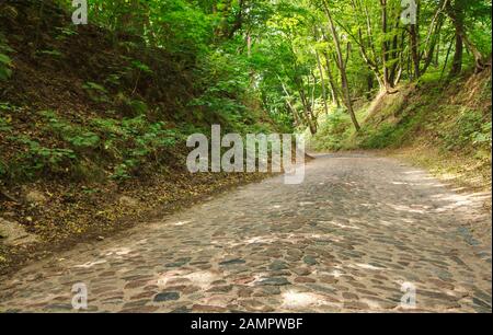 Leere alte, verlassene gepflasterte Straße im Wald am sonnigen Sommertag Stockfoto