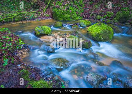 Grüne Landschaft mit kleinem Fluss in den Wäldern Stockfoto