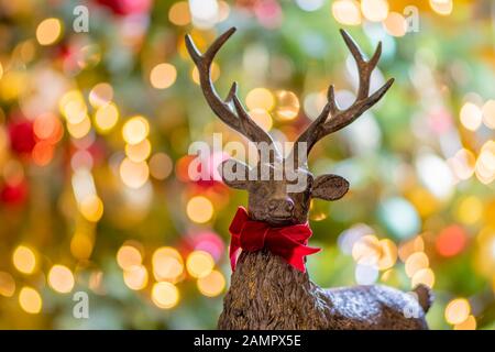 Nahaufnahme eines Holzhirsches formte weihnachtsdekoration mit defokussierten Feenleuchten im Hintergrund Stockfoto