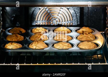 Hausgemachte goldene Vegan-Vanille-Kirschmuffins in einer schwarzen Muffinpfanne in einem beleuchteten Ofen - angewinkelte Ansicht, horizontales Format Stockfoto