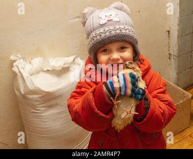 Kinder, die ein Wachtelhuhn halten. Ein kleiner schöner Junge umarmt und küsst ein kleines Huhn Stockfoto