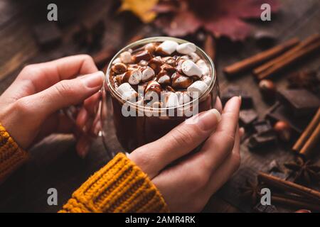 Tasse heiße Schokolade mit Marshmallows und Zimt in den Händen der Frau. Komfort-Essen, gemütliches warmes Herbstgetränk Stockfoto