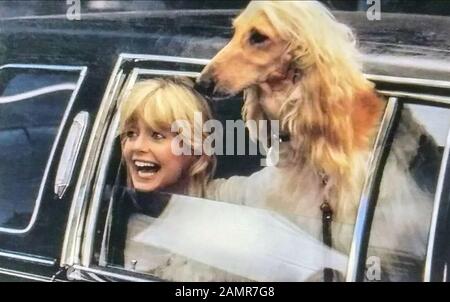 Protokoll 1984 Warner Bros Film mit Goldie Hawn Stockfoto