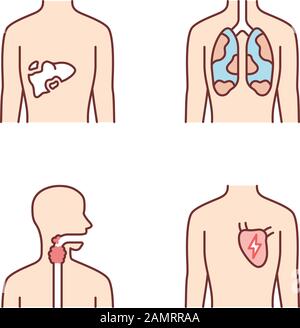 Farbige Symbole für kranke menschliche Organe. Schmerzte Leber und Lunge. Schmerzende Kehle. Ungesundes Herz. Kranke innere Körperteile. Isolierte Vektorgrafiken Stock Vektor
